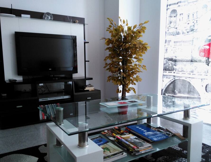 Tv. Wifi y dvd. Guías de la ciudad.