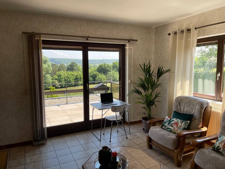 Appartement Chaleureux Avec Vue Magnifique - Profondeville