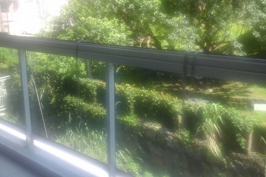 Visa da varanda : o bosque. ..