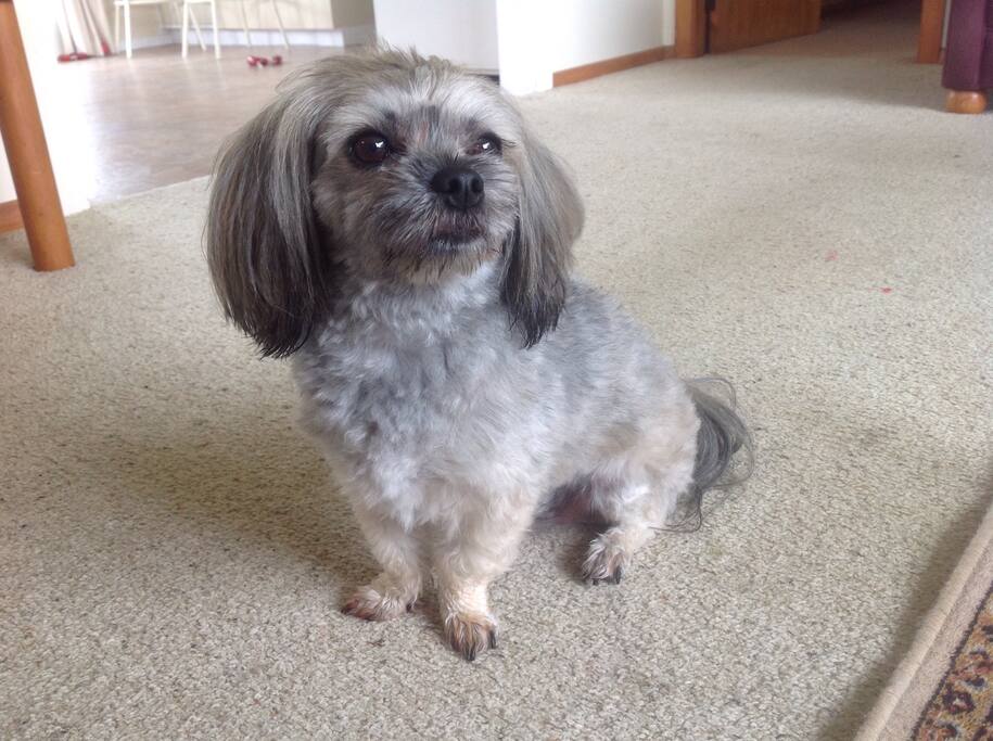 Hamish