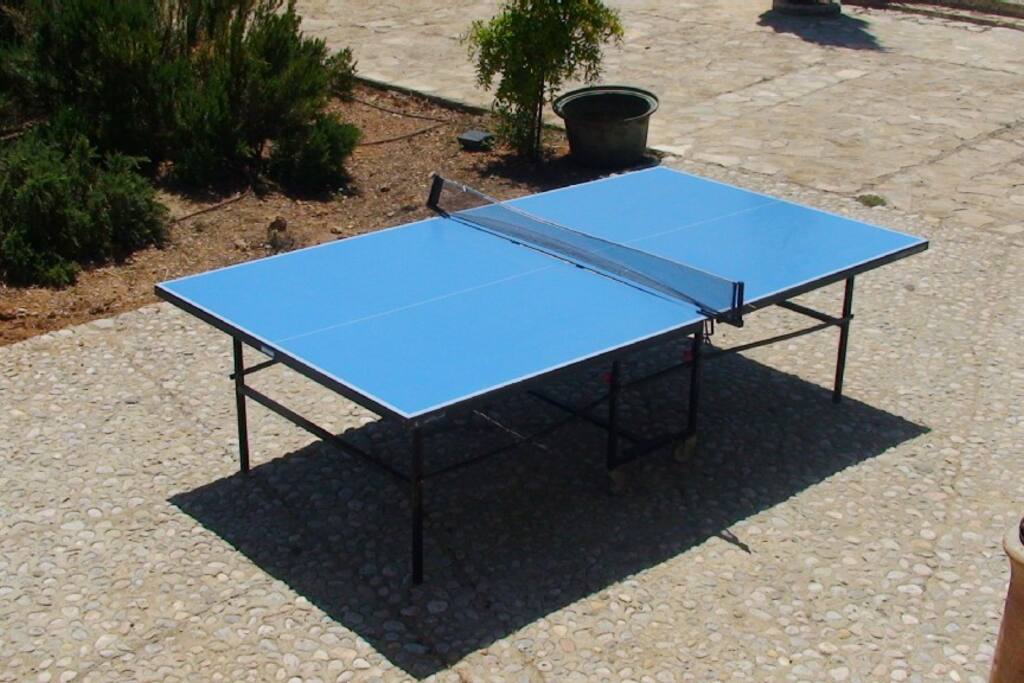 Unsere Tischtennisplatte