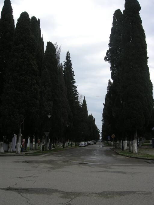 Кипарисовая аллея к центральному пляжу