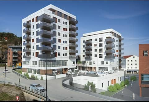 80 sqm  apartment right in the city center. 5 min to Aker.
