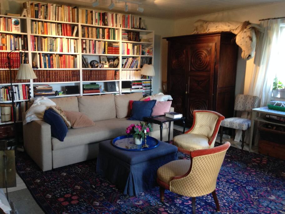The living room with the sofa/bed