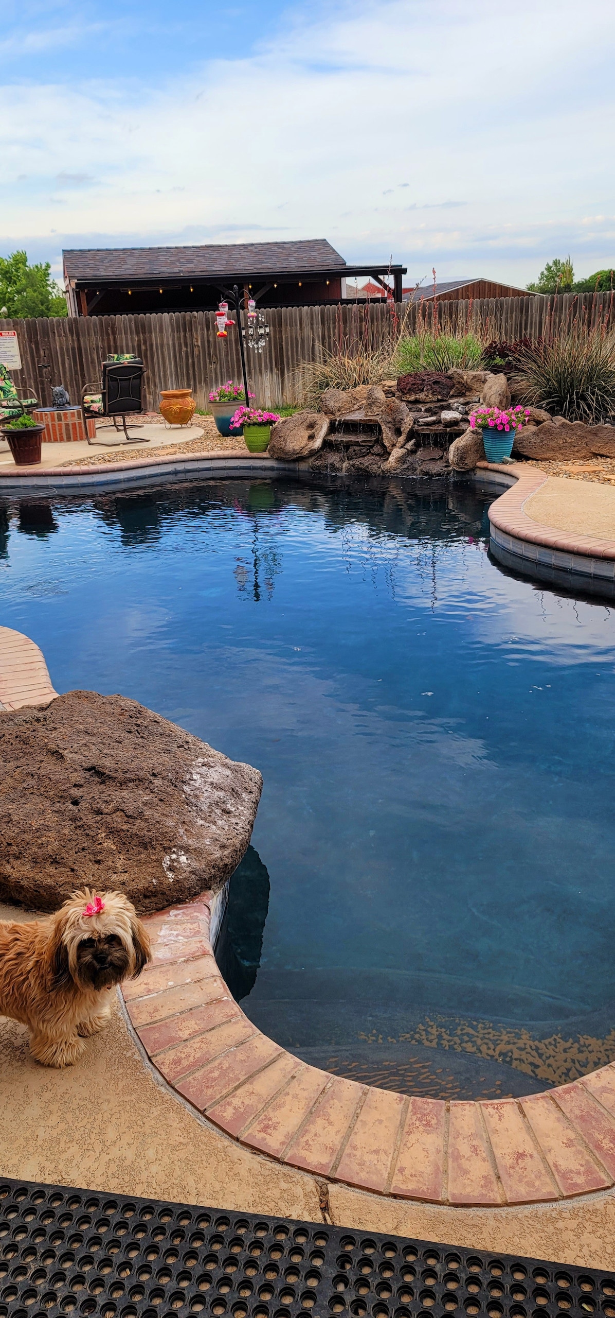 A serene inground pool is surrounded by a landscaped area featuring rocks and plants. Comfortable seating and a grill can be seen nearby, providing an inviting space for relaxation. The clear water reflects the sky, creating a tranquil atmosphere.