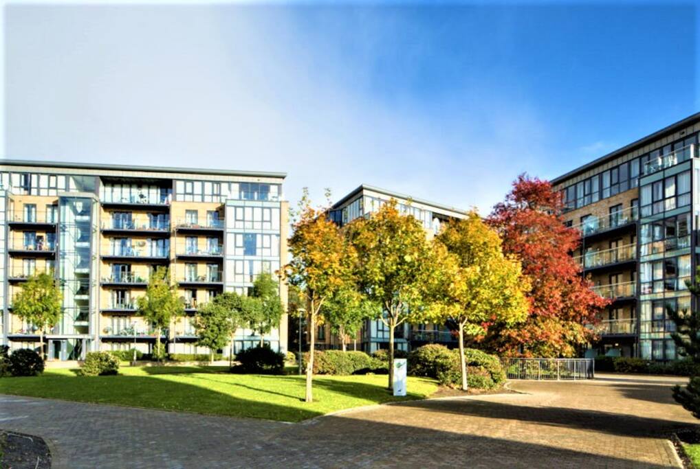 Building Complex view