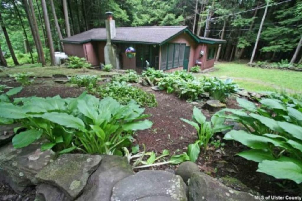 In summer it's lush and green