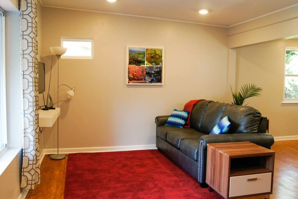 Living Room with fold-out couch