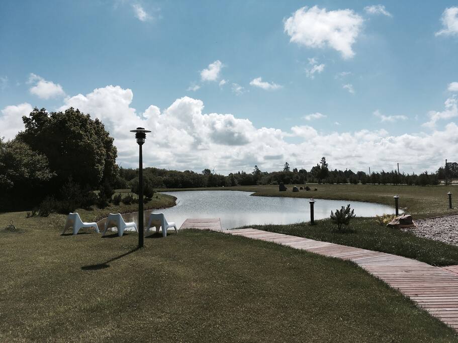 View from backyard
