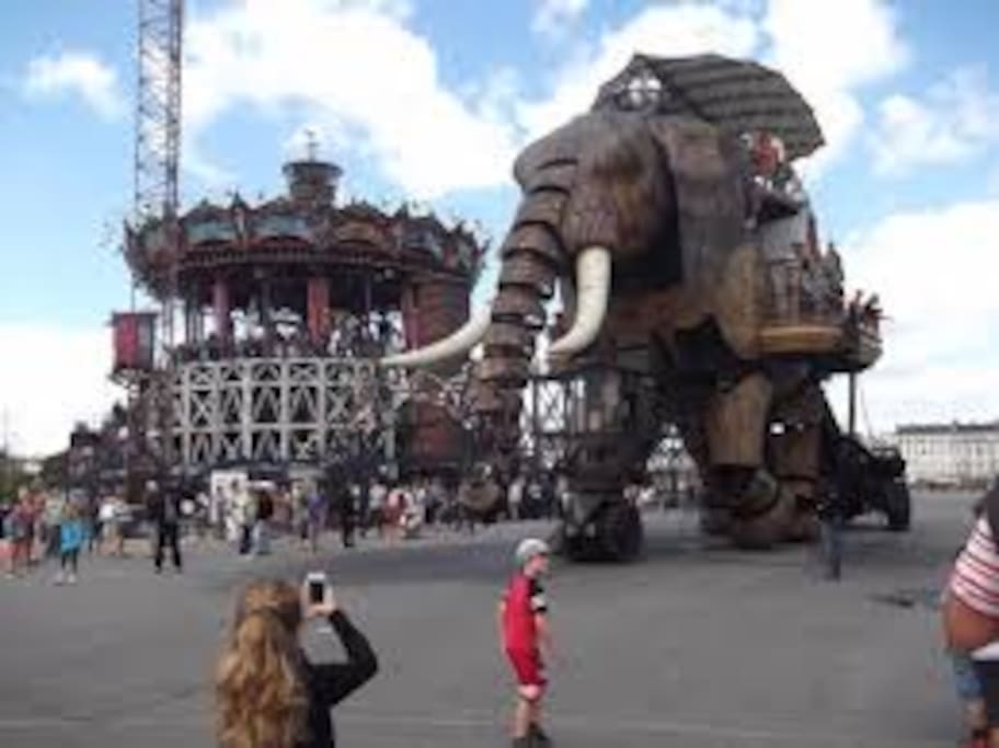L'éléphant