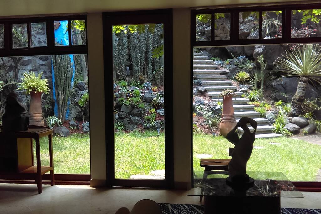 Cactus Garden from the interior of the house