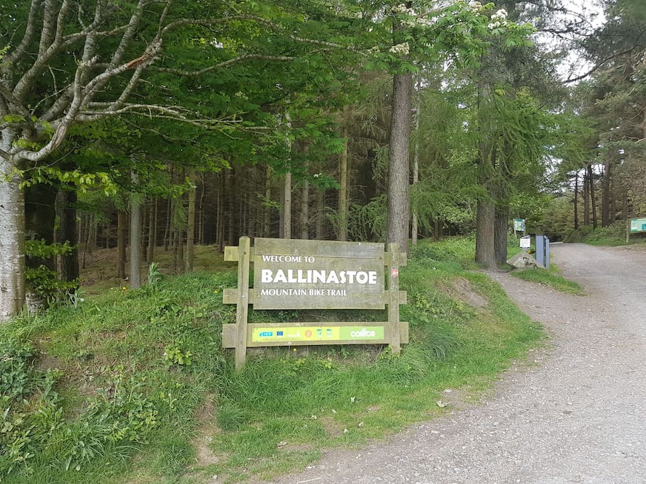 Ballinastoe mountain bike track is 2 minutes walk