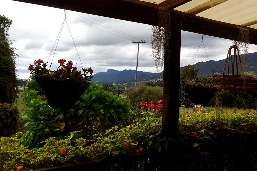 Vista desde la terraza