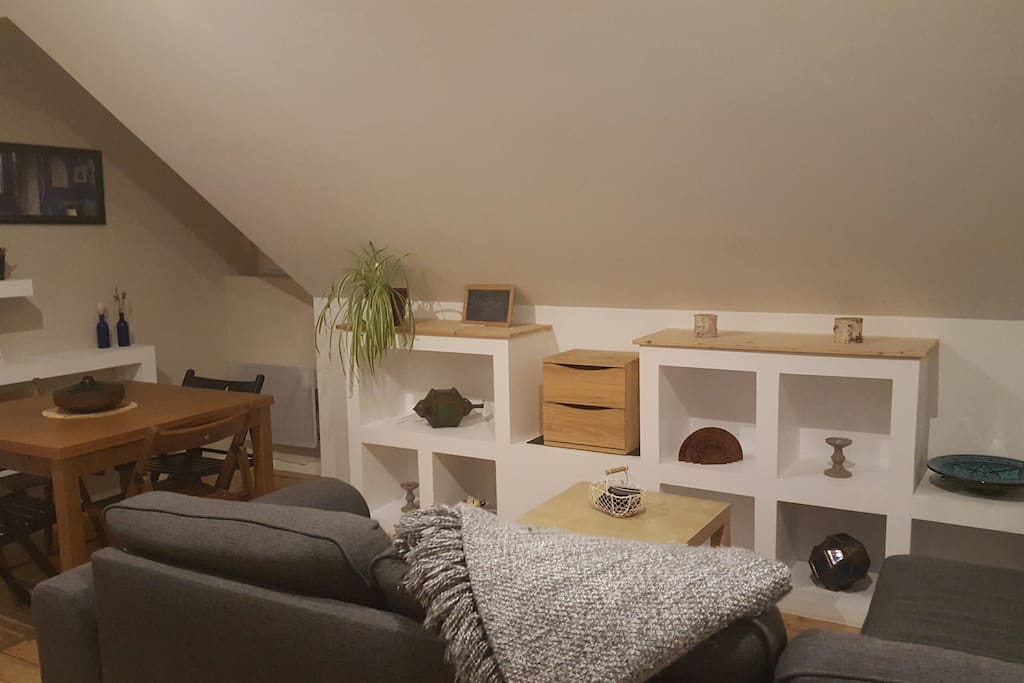 Salon / salle à manger de 15m2, profitant de 2 fenêtres est-ouest. Canapé-lit convertible 140x190. Linge de maison en option.