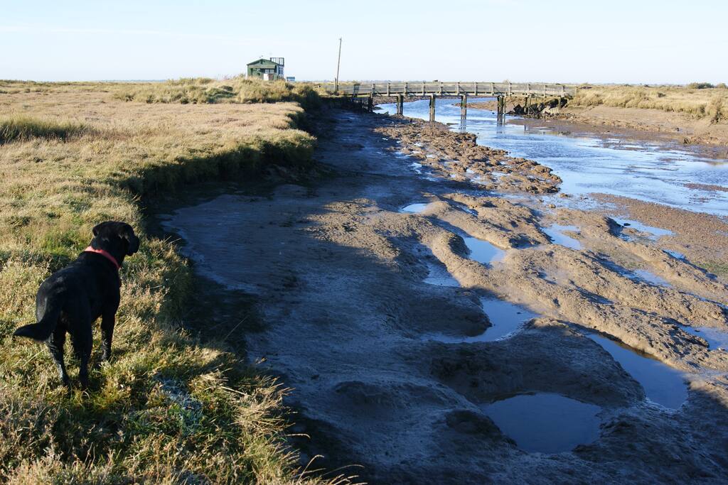 Site of Special Scientific Interest
