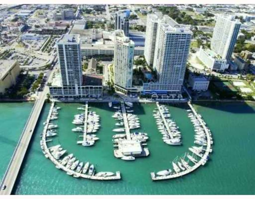 marina front the condo