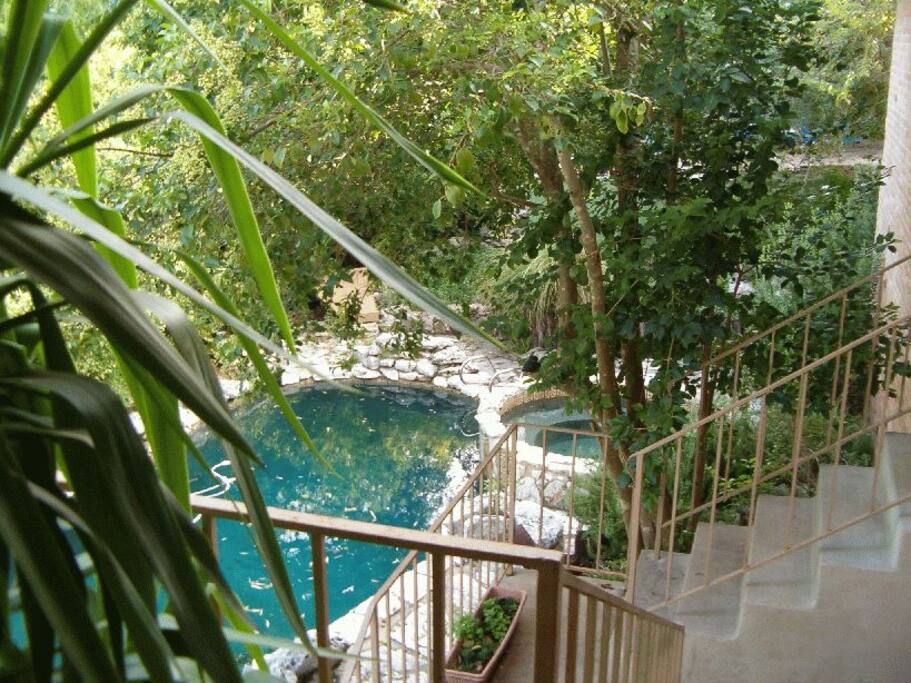 Secluded pool and hot tub in bamboo forest