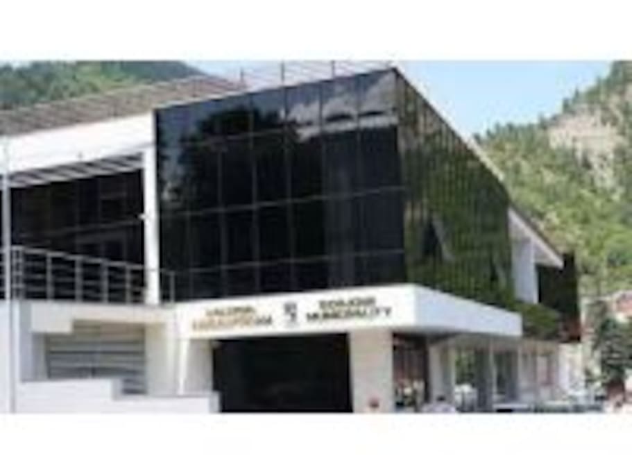 municipalitet