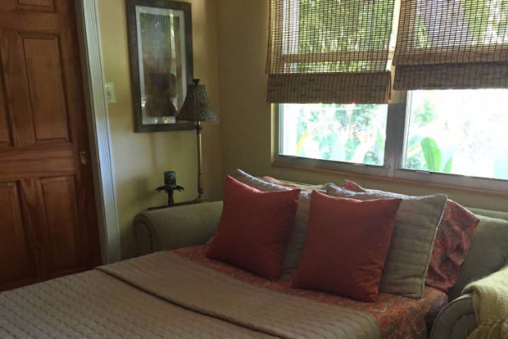 Comfortable pullout bed.
