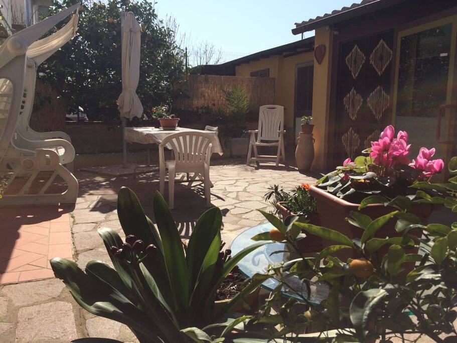 garden