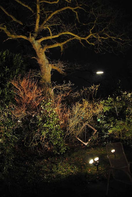 Our garden at night