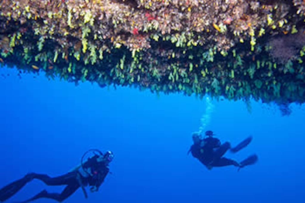 Scuba Diving