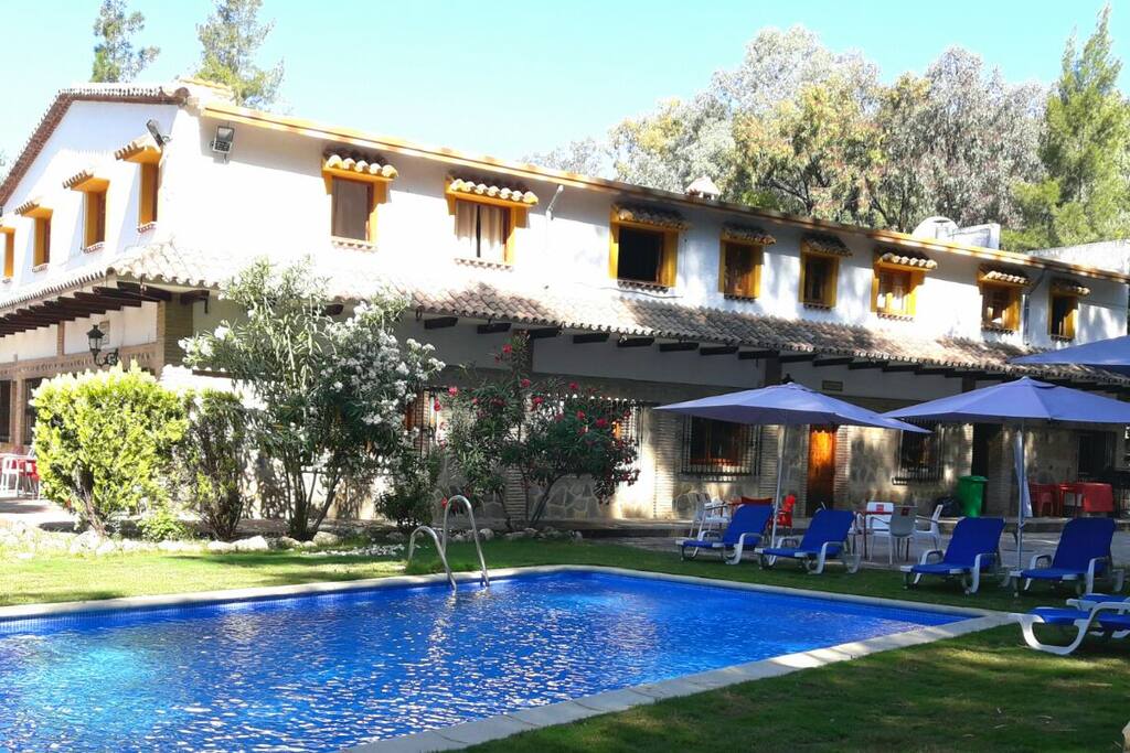 Piscina exterior con tumbonas y sombrillas