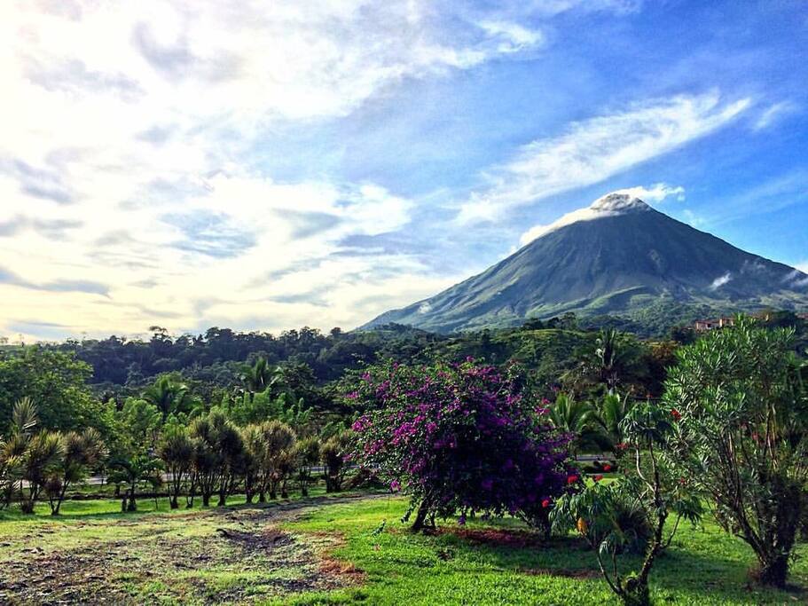 Vista desde la propiedad donde estamos ubicados.