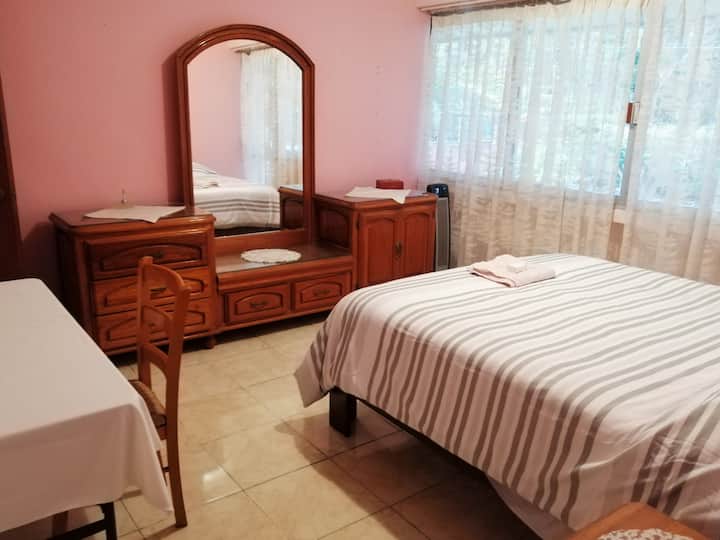 Comfortable room a block from the museum Houses for Rent in Xalapa