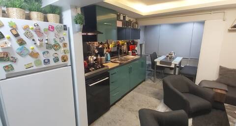 Fully Furnished 2 Bedroom Apt. in the City Center.