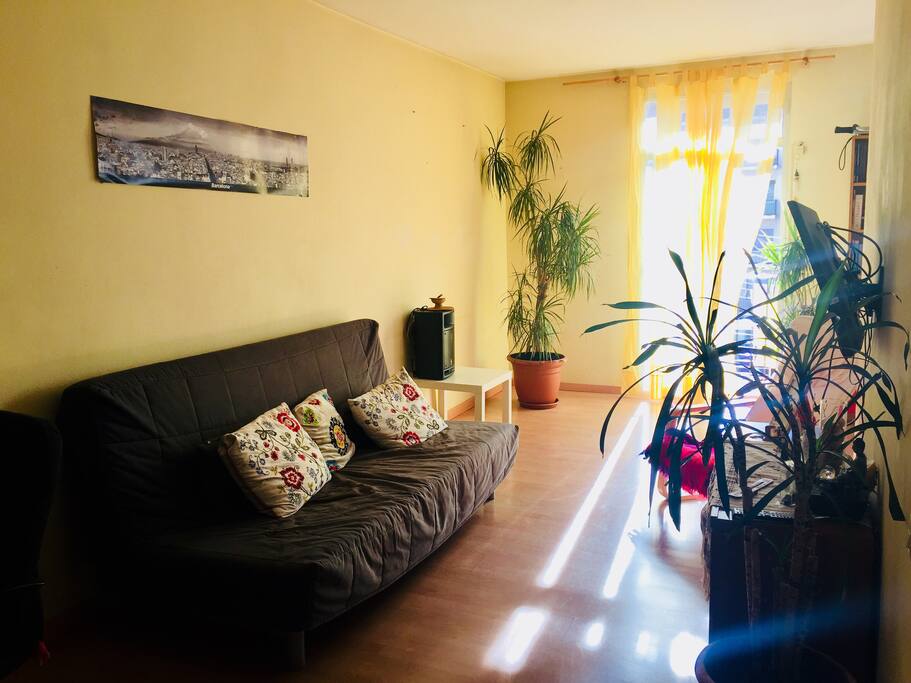 Salón del departamento. Uso privado ( podéis disponer del comedor para comer).