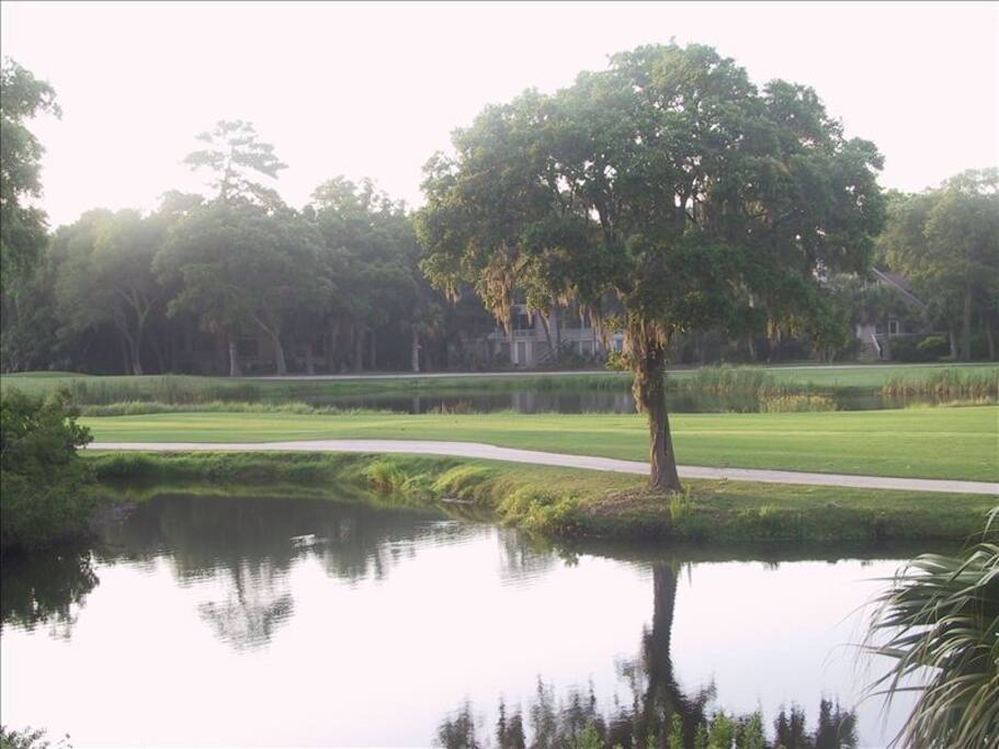 Enjoy this view with your morning coffee.