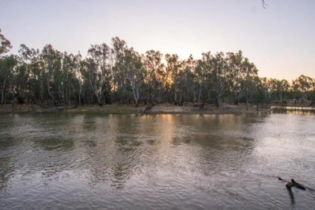 The mighty Murray River
