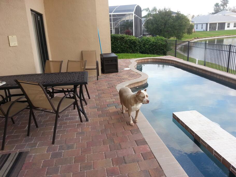 We Are Dog Friendly (Just no Puppies) so feel free to bring your 4 Legged Family members!