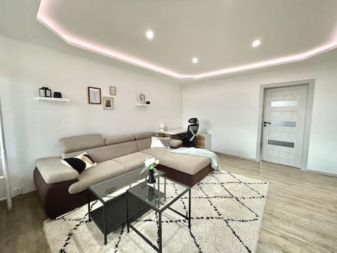 Beautiful renovated apartment 3+1