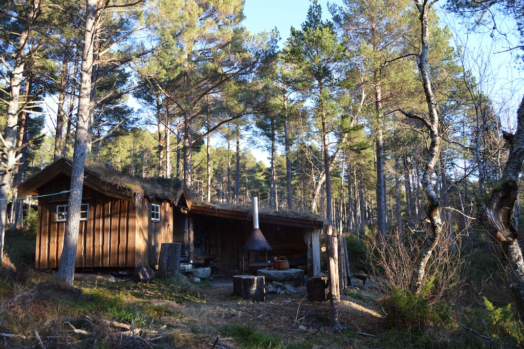 Forest cabin