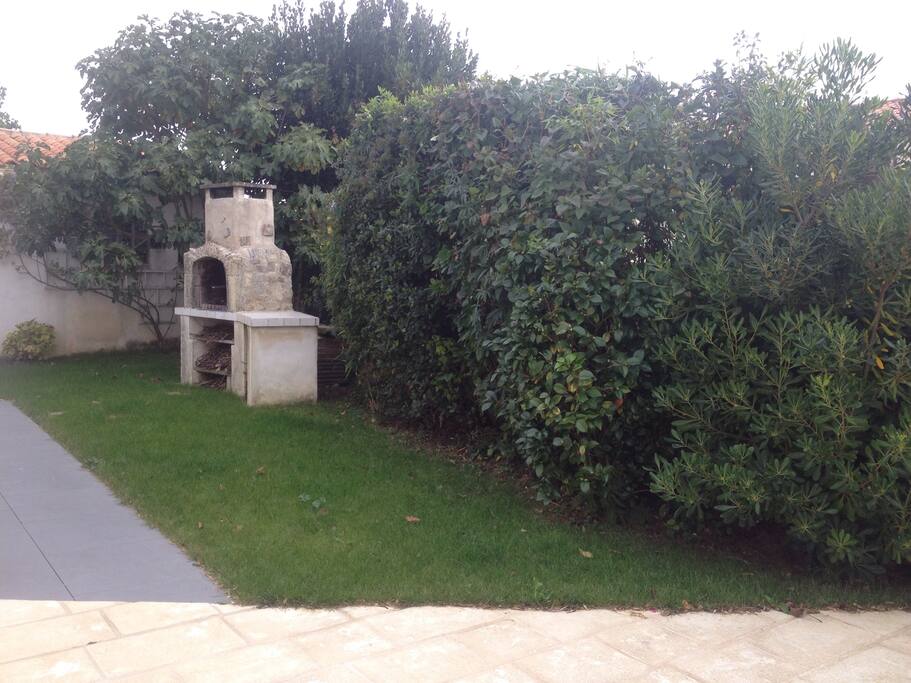 Une partie du jardin