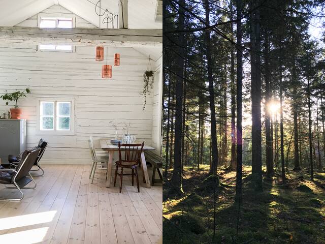 Classic red Swedish cottage