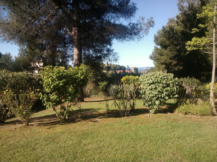 jardin et apercu mer