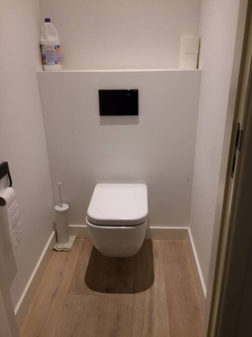 toilet