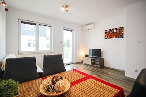 Popular Airbnb listing: Apartments Lublin Stare Miasto "Wild Cat" in Lublin