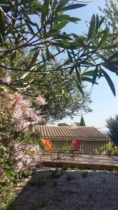 Jardin arrière