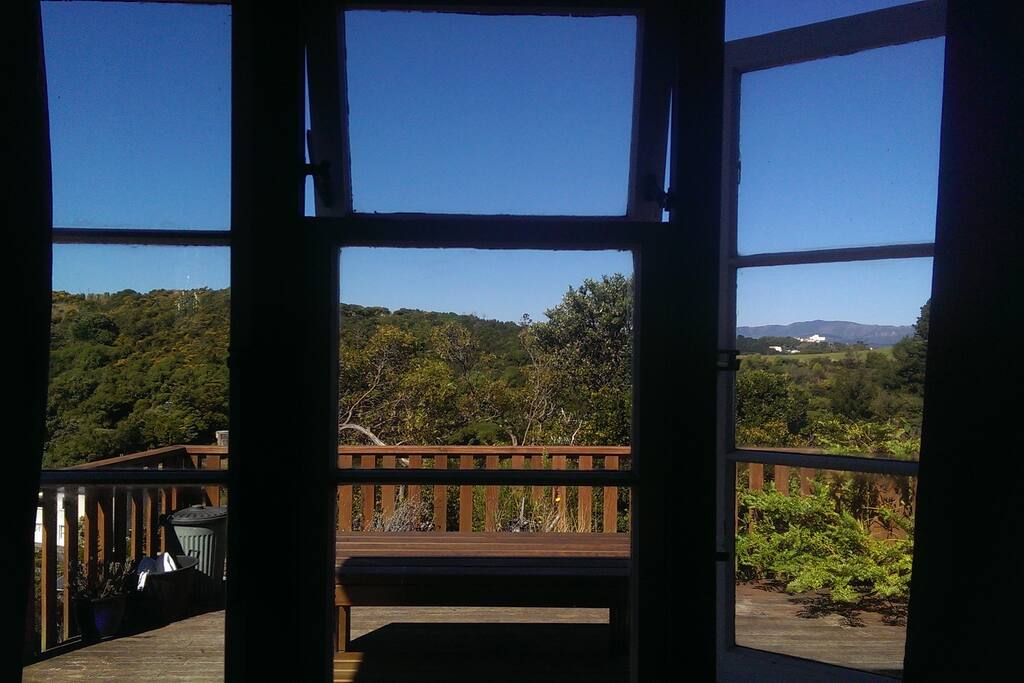 View from the desk
