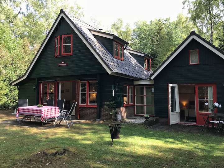 Vacation home in forest, nature house