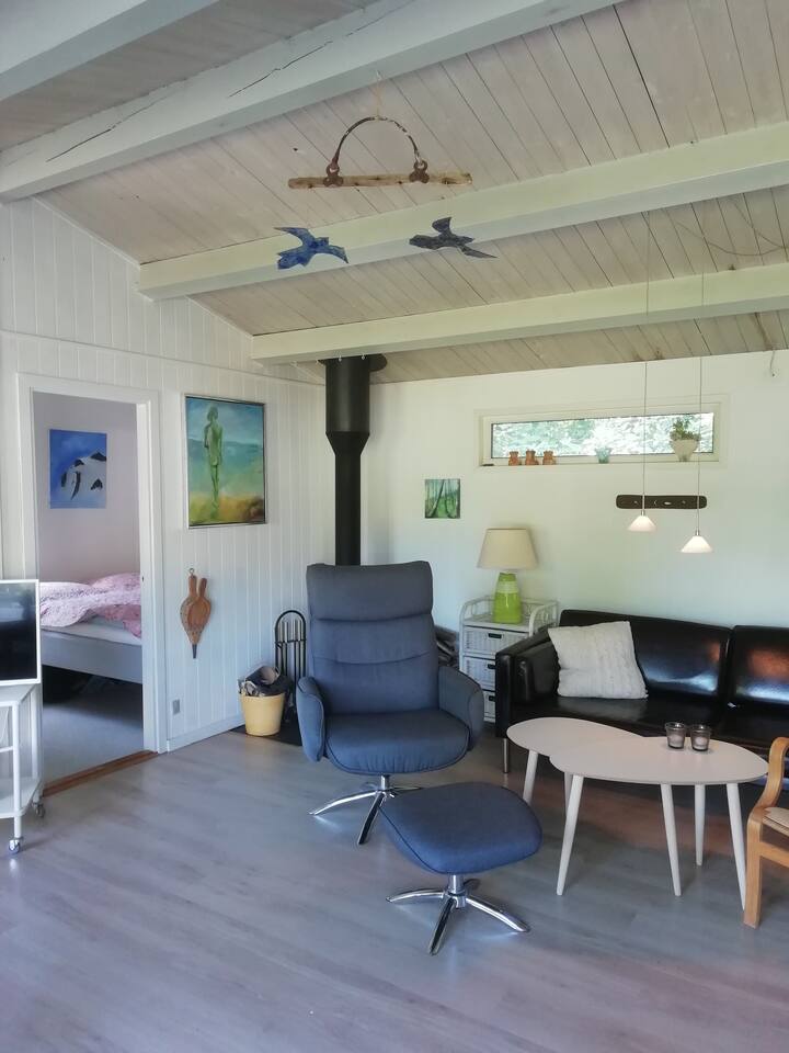 Lagani dnevni boravak s dobrim namještajem i štednjakom na drva