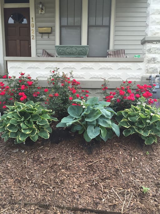 Front of house. It is the Run for the Roses and a great place for pictures.