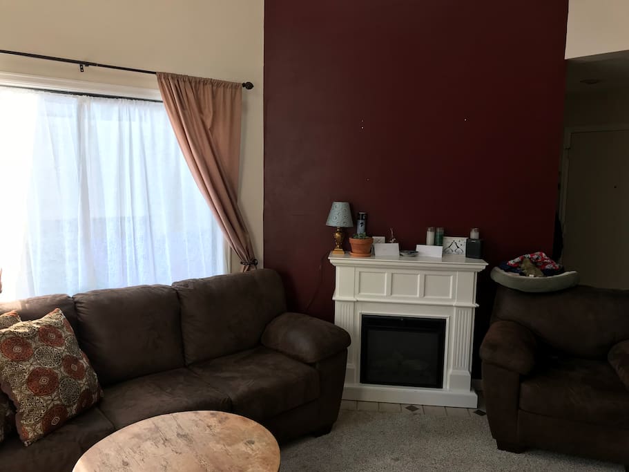 Living room and electric fireplace