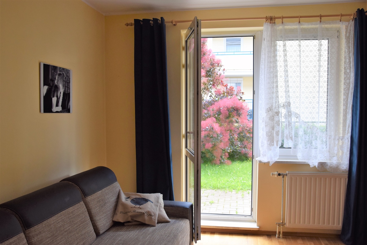 A bright living area features a comfortable sofa, with a window open to a small garden. Natural light filters through sheer white curtains, revealing colorful greenery outside. A framed black-and-white photograph adds a personal touch to the warm yellow walls.