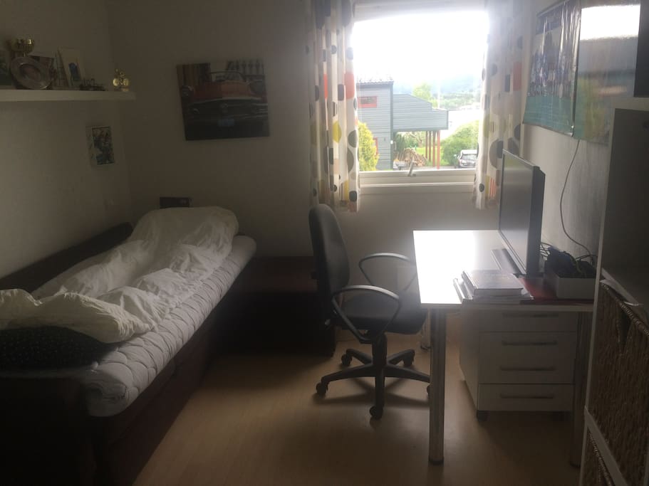 Soverom 2, dobbel sovesofa