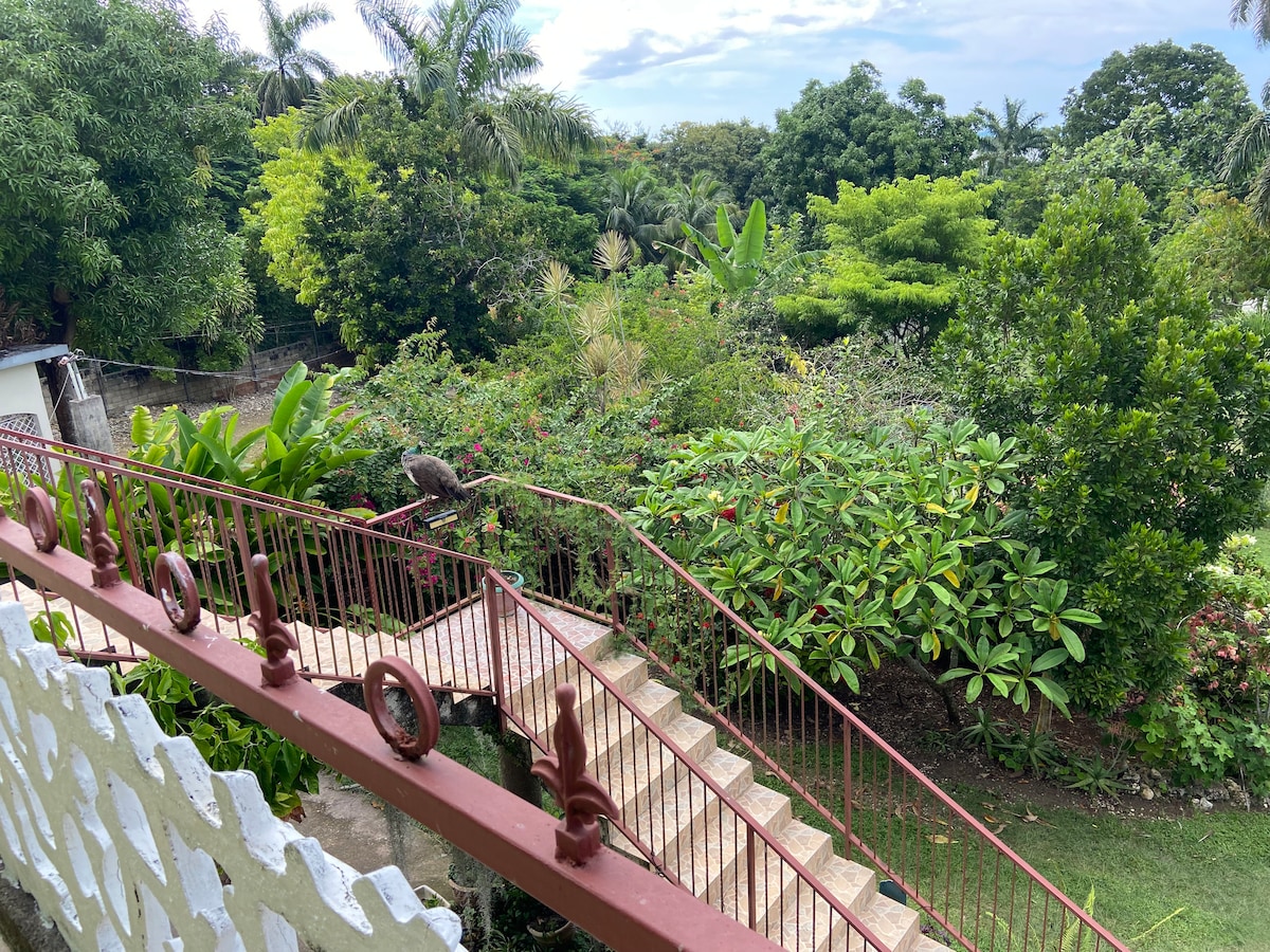 A view from a balcony showcases a winding staircase leading down to a lush garden filled with tropical plants and trees. The vibrant greenery surrounds the area, creating a serene environment, while a clear sky adds to the peaceful atmosphere.